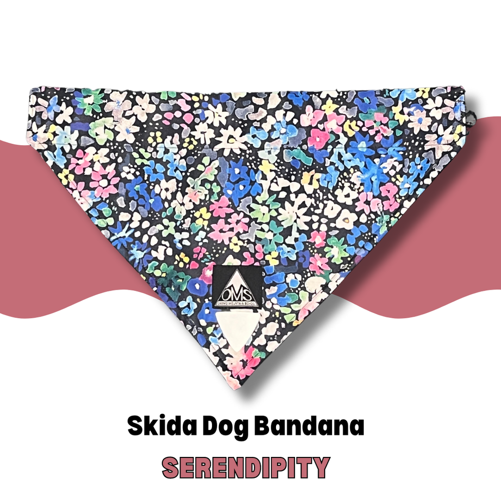 小物 GRINDLODGE FLAGDEATH BANDANA SPC OMS Skida Dog Collar Bandanas — Okemo Mountain School | Ludlow
